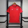 2024 Wales HomeFootball Shirt 1:1 Thai Quality