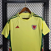 2024 Wales Away Football Shirt 1:1 Thai Quality