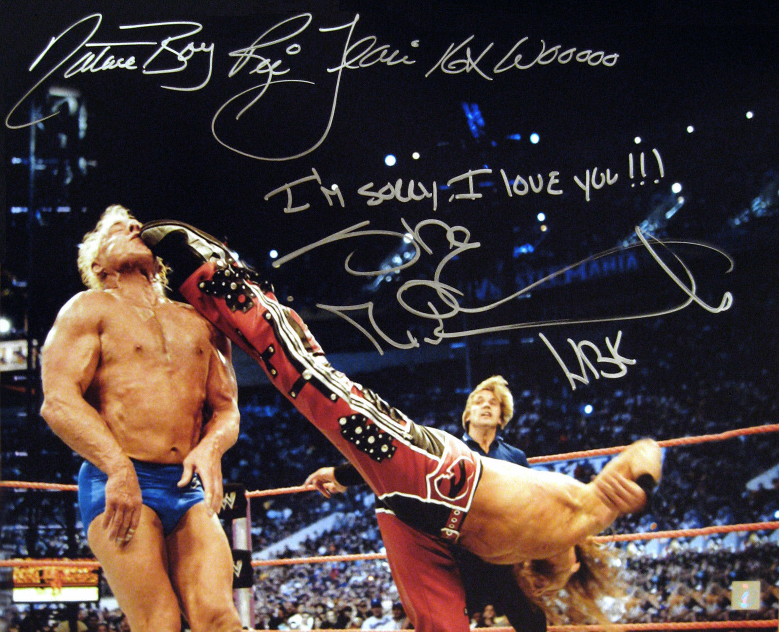 Shawn Michaels & Nature Boy