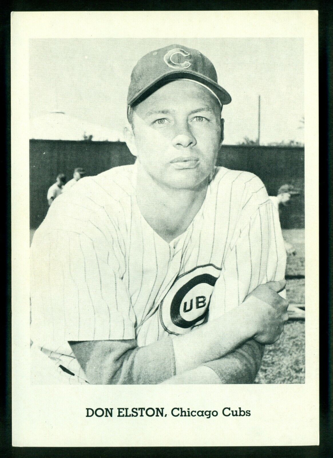 Original 1960's DON ELSTON CHICAGO CUBS Team Issue B&W Photo Poster painting Card sz 5X7