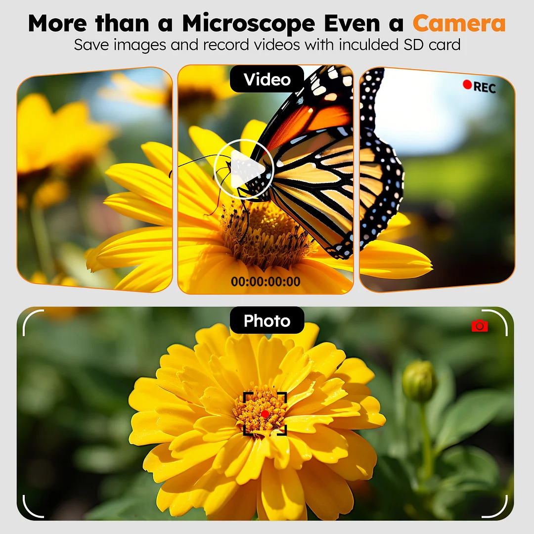 BEBANG 10.1" LCD Microscope for Adults Kids, Coin Microscope for Error Coins, IOS, Windows 11