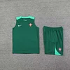 2024 Portugal Pre-match Training Green Jersey+Shorts 1:1 Thai Quality
