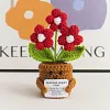 (Finished Product)Crochet Flower Potted Doll with Positive Card Desktop Ornaments, Potted Plants, Bouquets Gift Home Decor