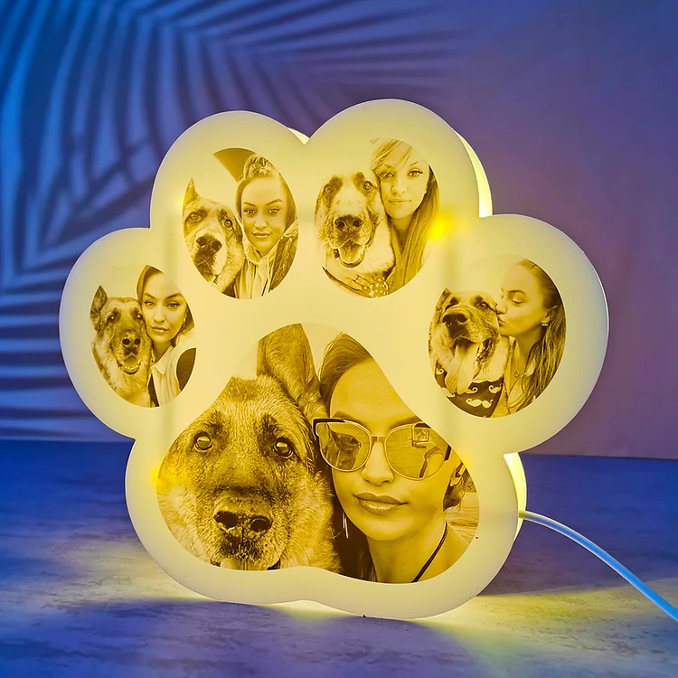 Custom Photo Acrylic Pet Paw-Shaped 3D LED Night Lights