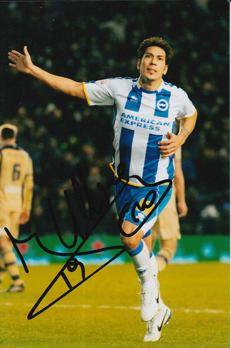 BRIGHTON HAND SIGNED LEONARDO ULLOA 6X4 Photo Poster painting 1.