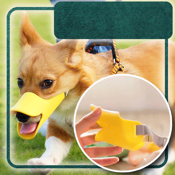 cute dog muzzle