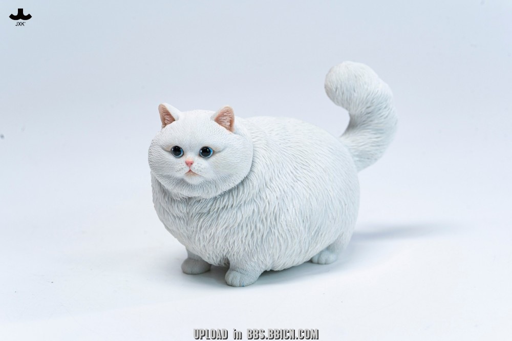 JXK-Chubby Kitty-JXK390A/B/C/D/E/F-