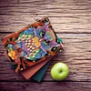 A5 5D Notebook DIY Part Special Shape Rhinestone Diary Book | Owl