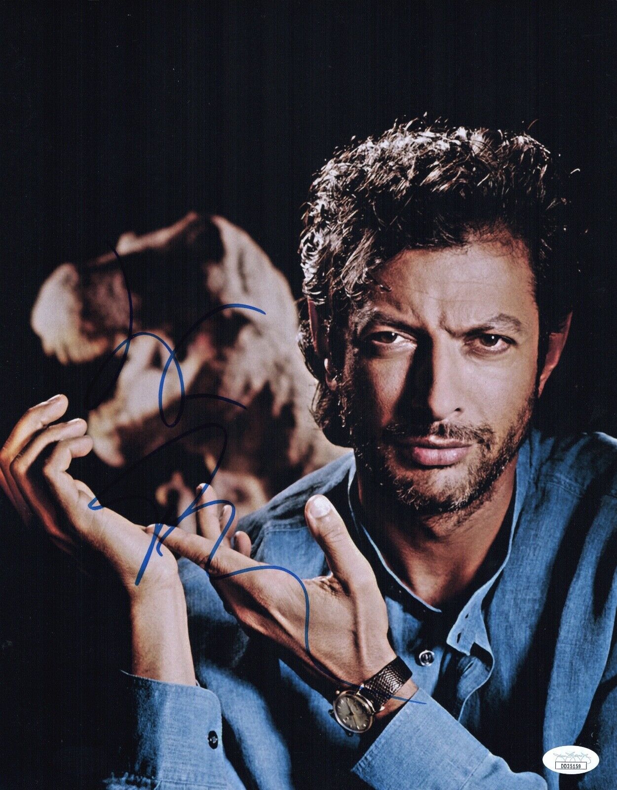 JEFF GOLDBLUM Hand Signed JURASSIC PARK 11X14 Photo Poster painting In Person Autograph JSA COA