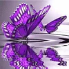 Purple Butterfly | Full Round Diamond Painting Kits