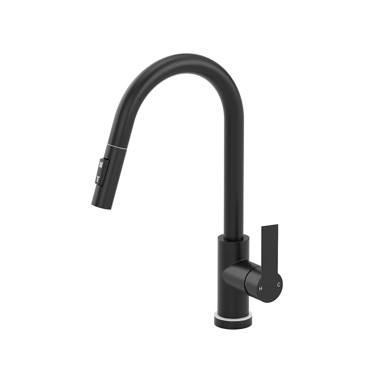 EVERSTEIN LED High-Arc Pull-Down Kitchen Faucet Matte Black