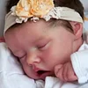 Babiesprincess Lifelike Reborn Baby Doll, Babiesprincess