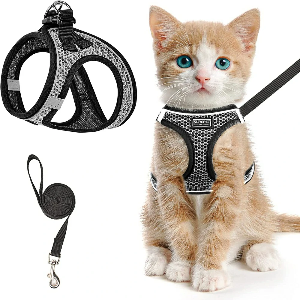 Cheetah Action Serie - Cat Harness Chic Adventures Secure Companionship