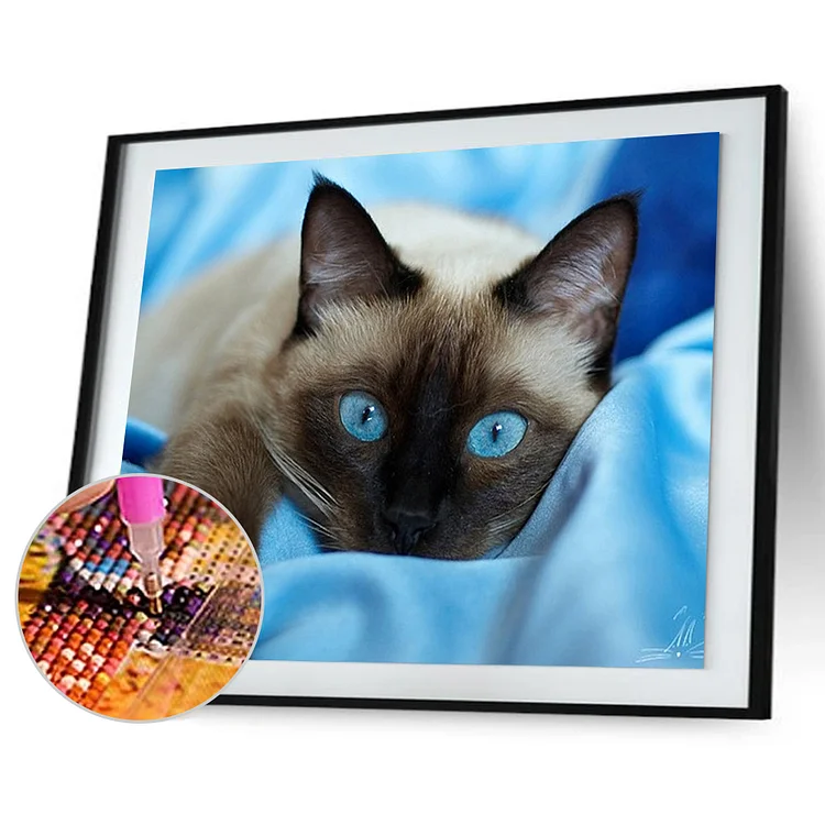 Cat   Diamond Painting 40*30cm