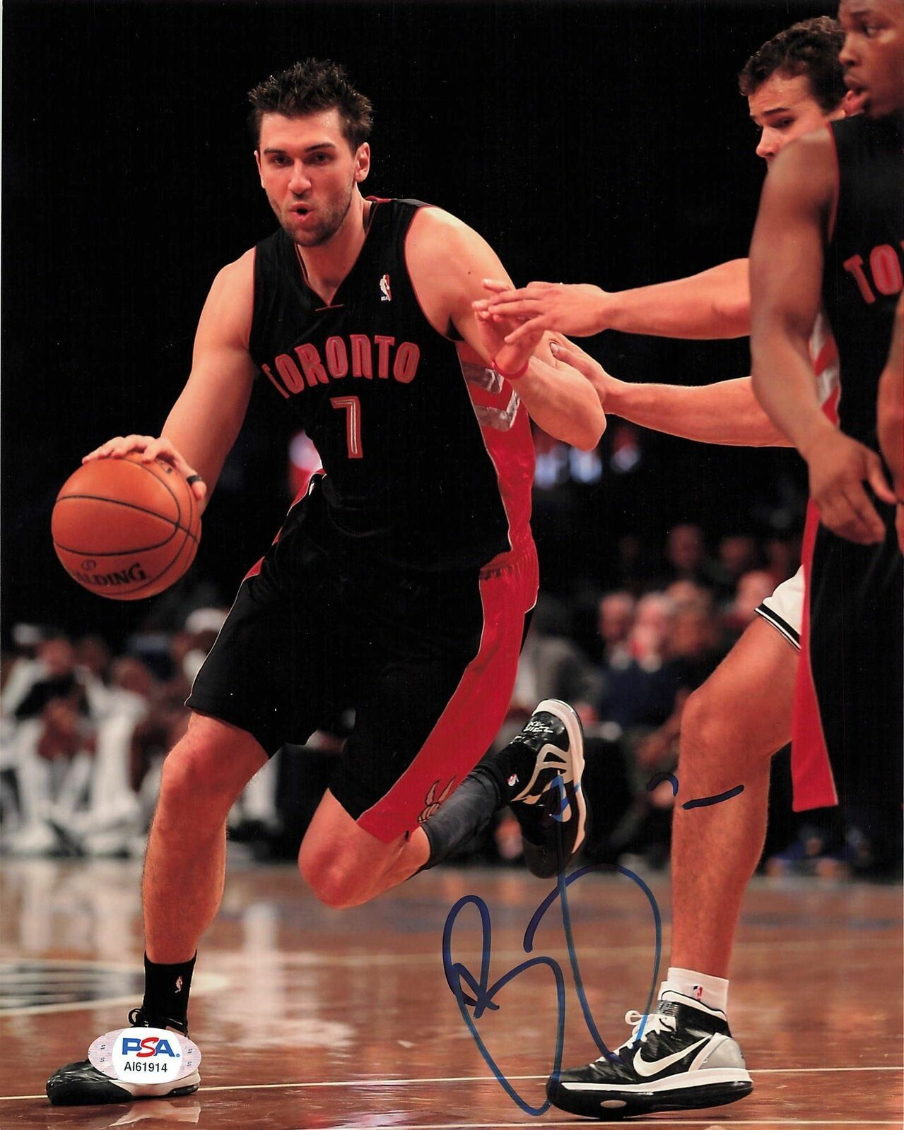 ANDREA BARGNANI signed 8x10 Photo Poster painting PSA/DNA Toronto Raptors Autographed