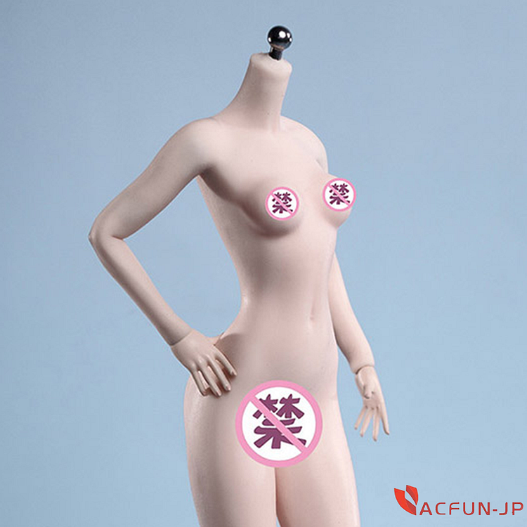 【TBリーグ】スーパーフレキシブル 女性シームレスボディ ペール スモールバスト ガールズボディ S44A (ドール)