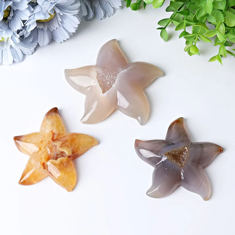 3.0"-3.5" Druzy Agate Starfish Crystal Carvings