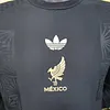 2025/2026 Player Version Long Sleeve Mexico National Special Edition Football Shirt 1:1 Thai Quality
