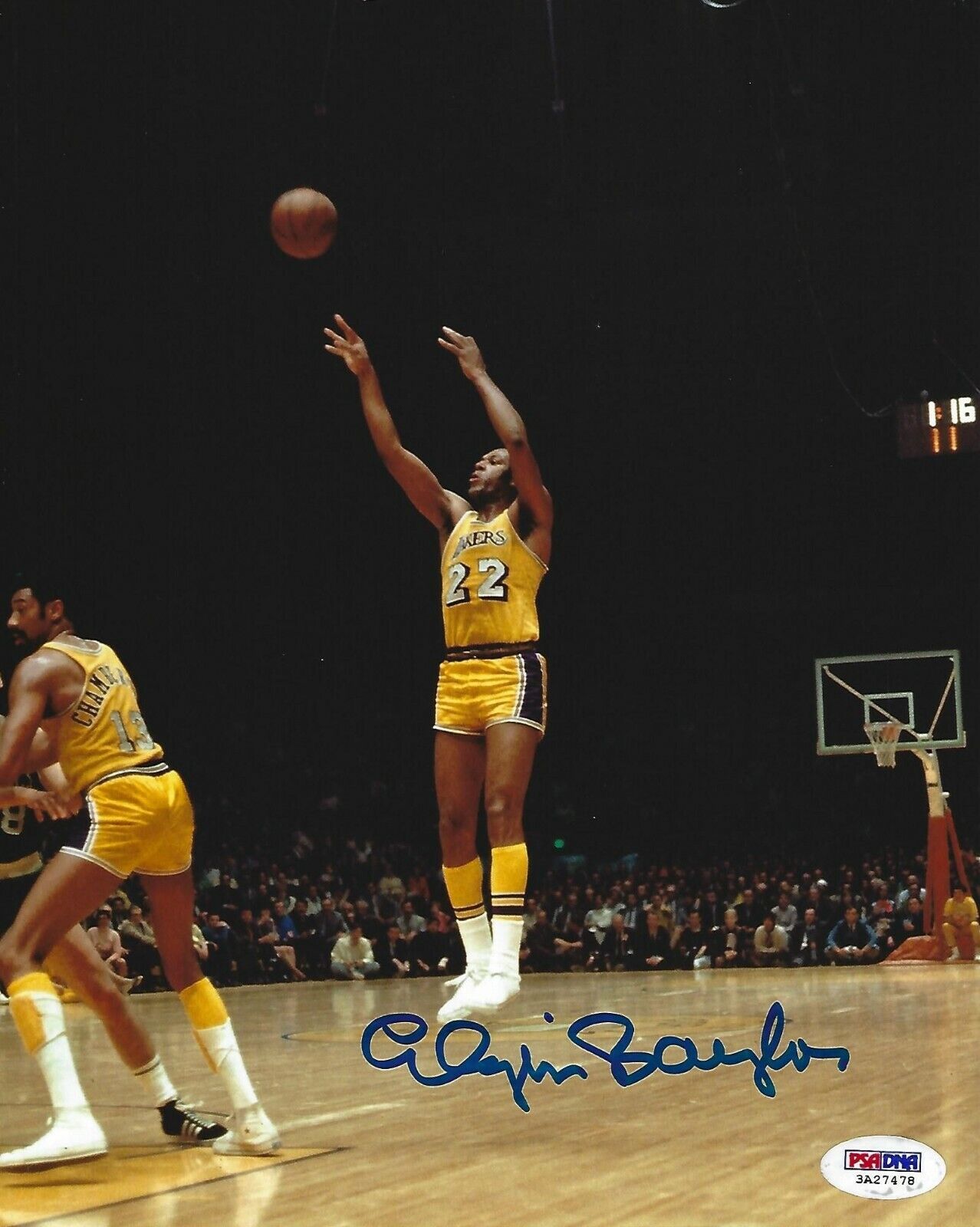 Elgin Baylor Signed Lakers Basketball 8x10 Photo Poster painting PSA/DNA COA Picture Autograph