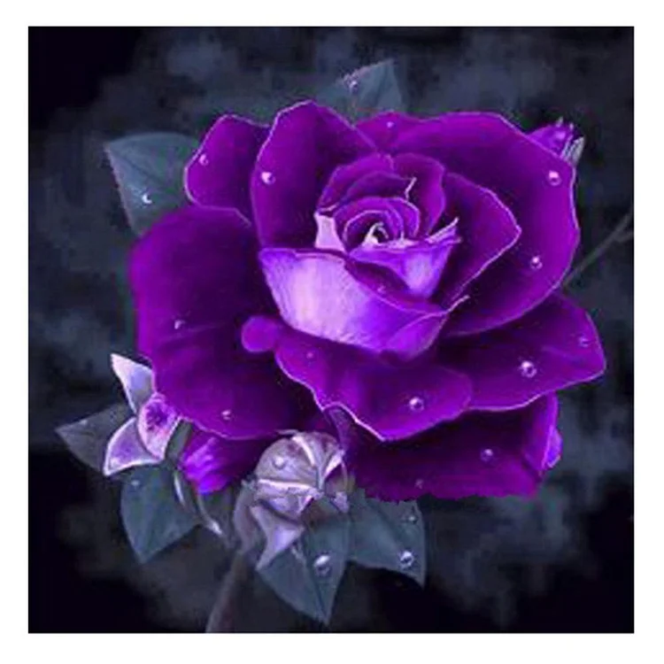 Purple Rose Square Full Drill Diamond Painting 25X25CM(Canvas) gbfke