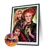 Diamond Painting -DIY Round Drill Crazy Witch(50*40 CM)