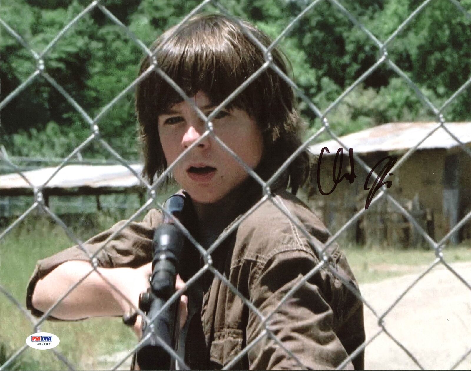 Chandler Riggs The Walking Dead Authentic Signed 11X14 Photo Poster painting PSA/DNA #Z89187