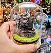 Handmade Miniature Landscape Model Scene Hand-made Ornaments