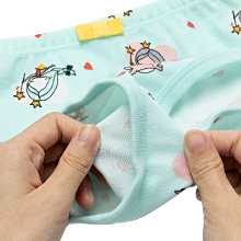 6-Pack Girls 100% Cotton Comfort & Breathable Panties -A1 – SYNPOS
