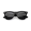 Classic Horned Rim Sunglasses