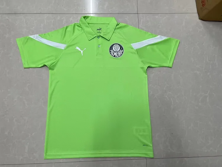 Fans edition 2024-2025 Palmeiras green training polo shirt