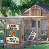 Chicken - Vintage Metal Signs - 30*40cm