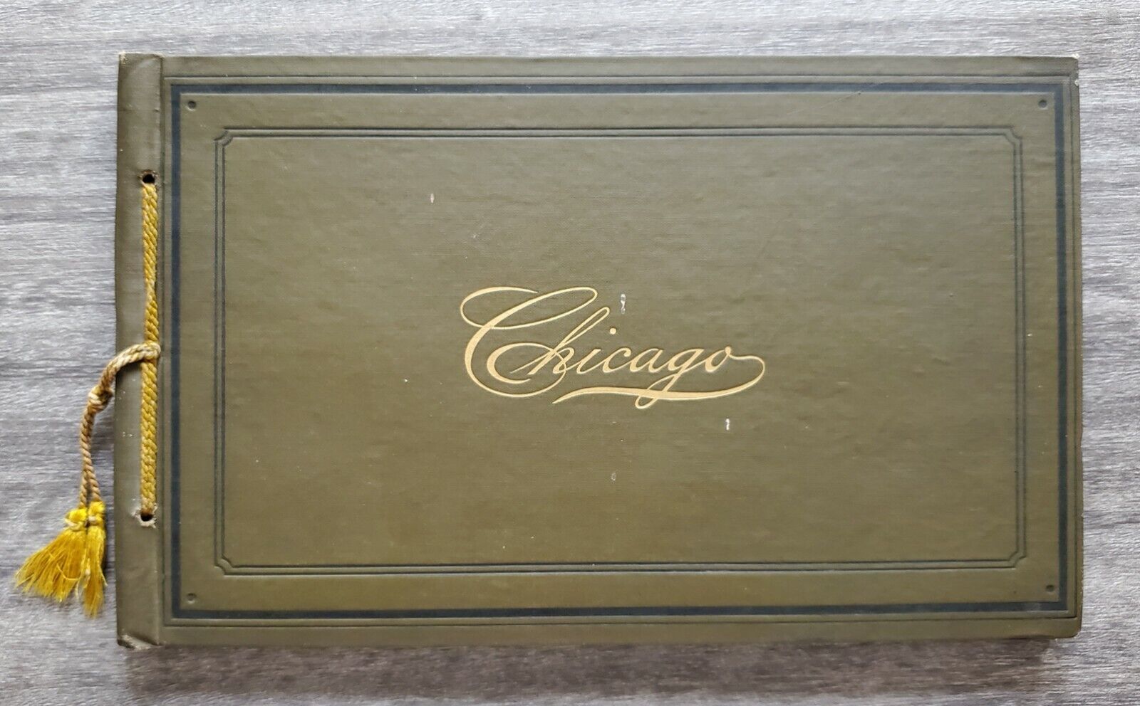 Vintage 1890 Chicago Illustrated In Albertype Photo Poster paintings Pictures Monuments Scarce