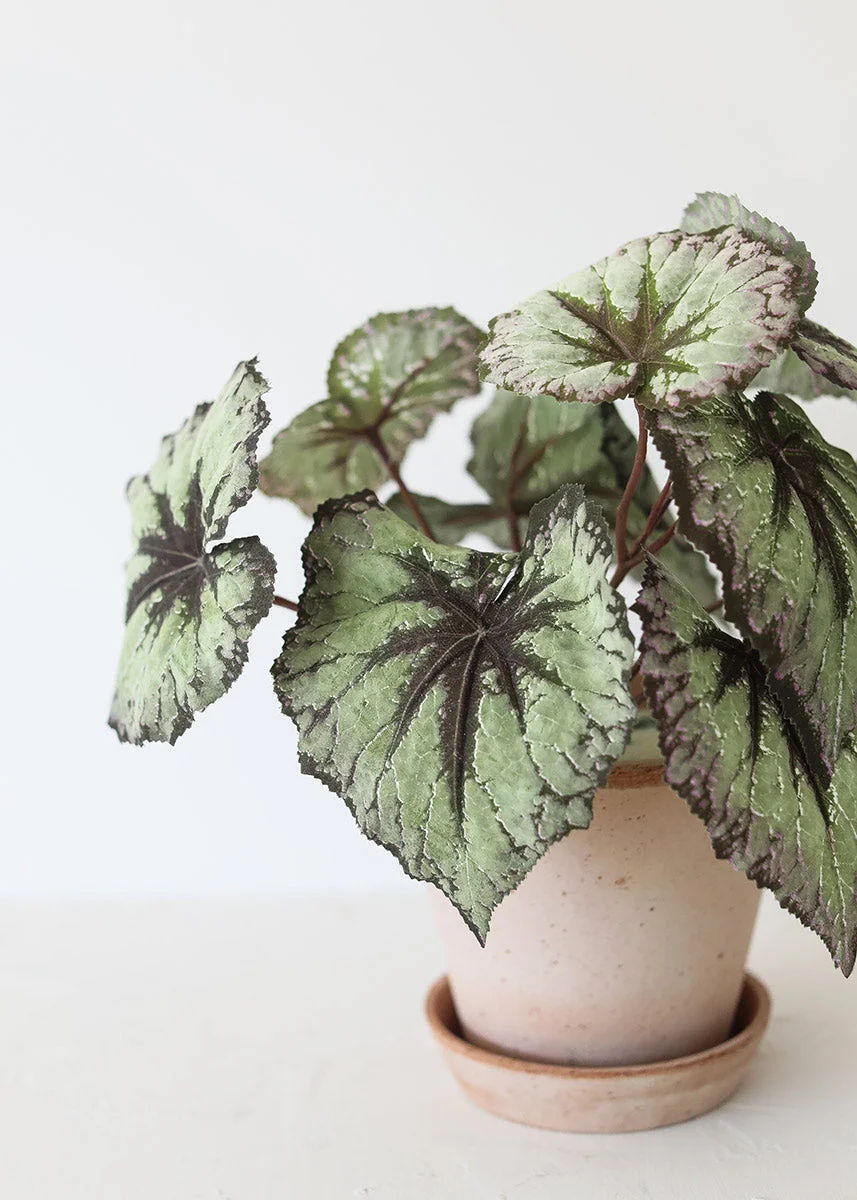 Purple Green Artificial Begonia Bush - 9"