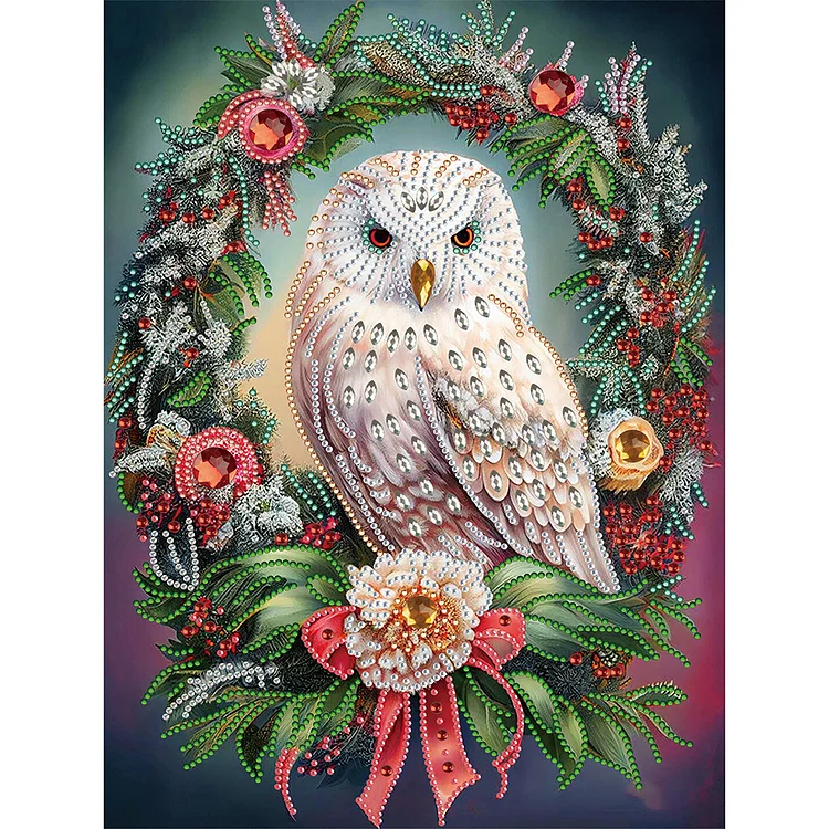 Partial Special-Shaped Diamond Painting - Christmas Owl Wreath 30*40CM