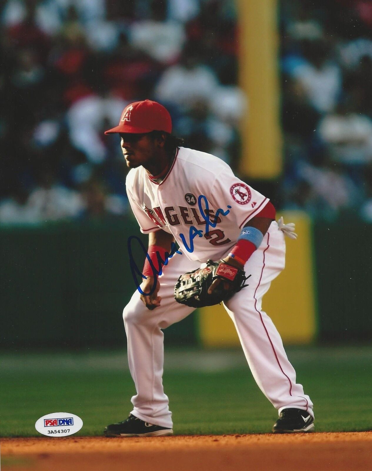 Erick Aybar Los Angeles Angels of Anaheim Signed 8x10 Photo Poster painting PSA/DNA # 3A54307