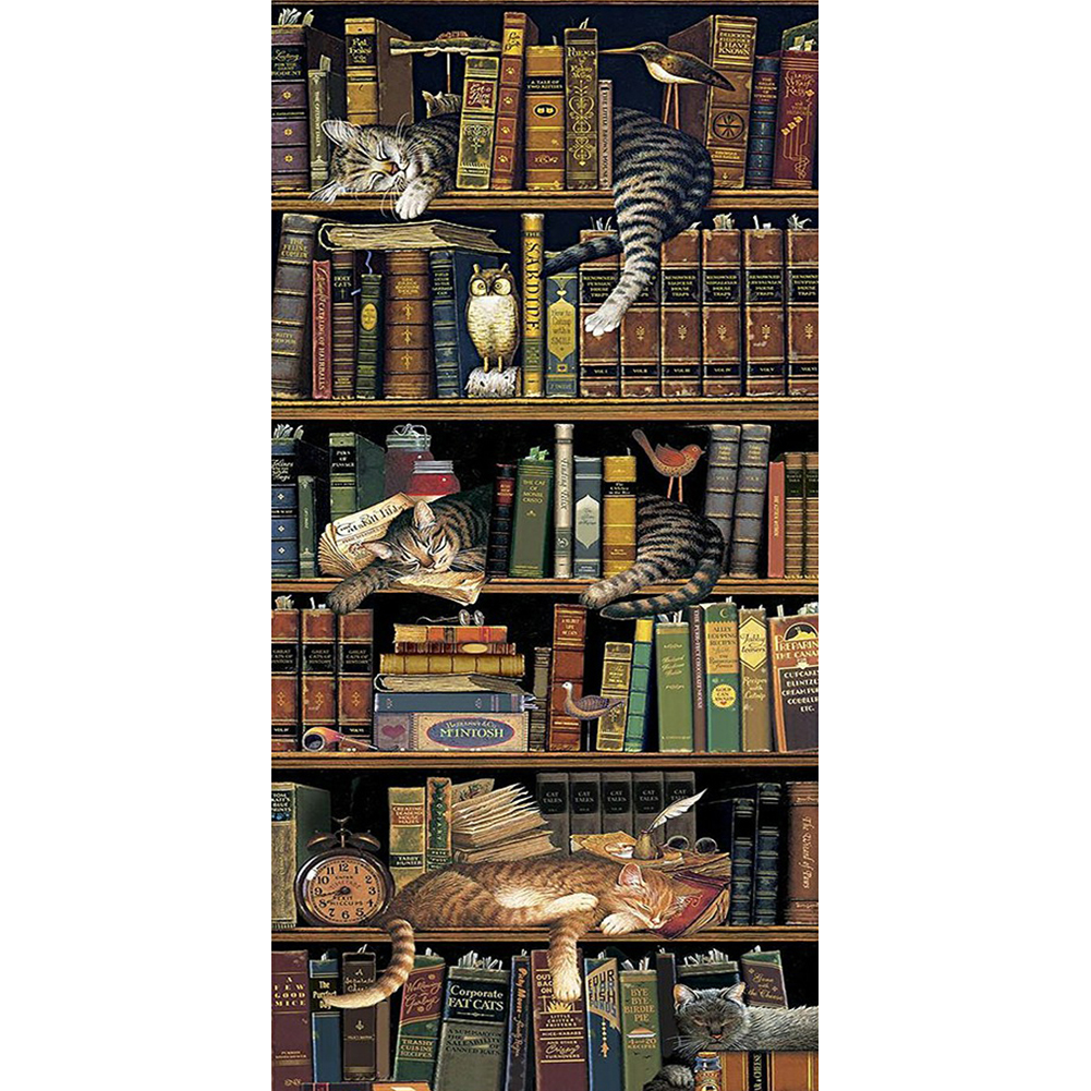 

Bookshelf Cat - Square Drill Diamond Painting - 40*80CM (Big Size), 501 Original