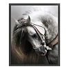 Horse - 11CT Counted Cross Stitch - 36*46cm - Animal