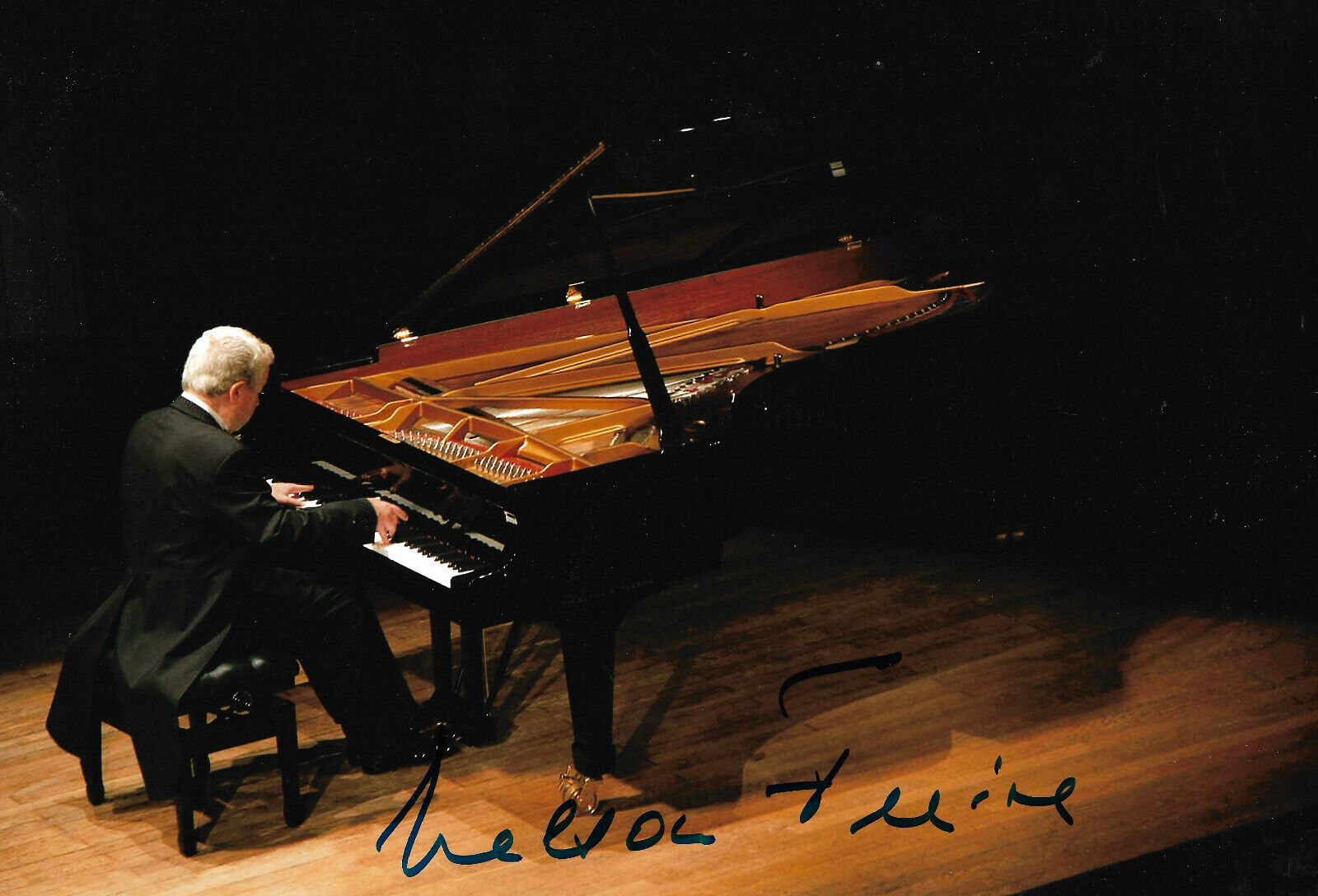 Nelson Freire Pianist signed 8x12 inch Photo Poster painting autograph