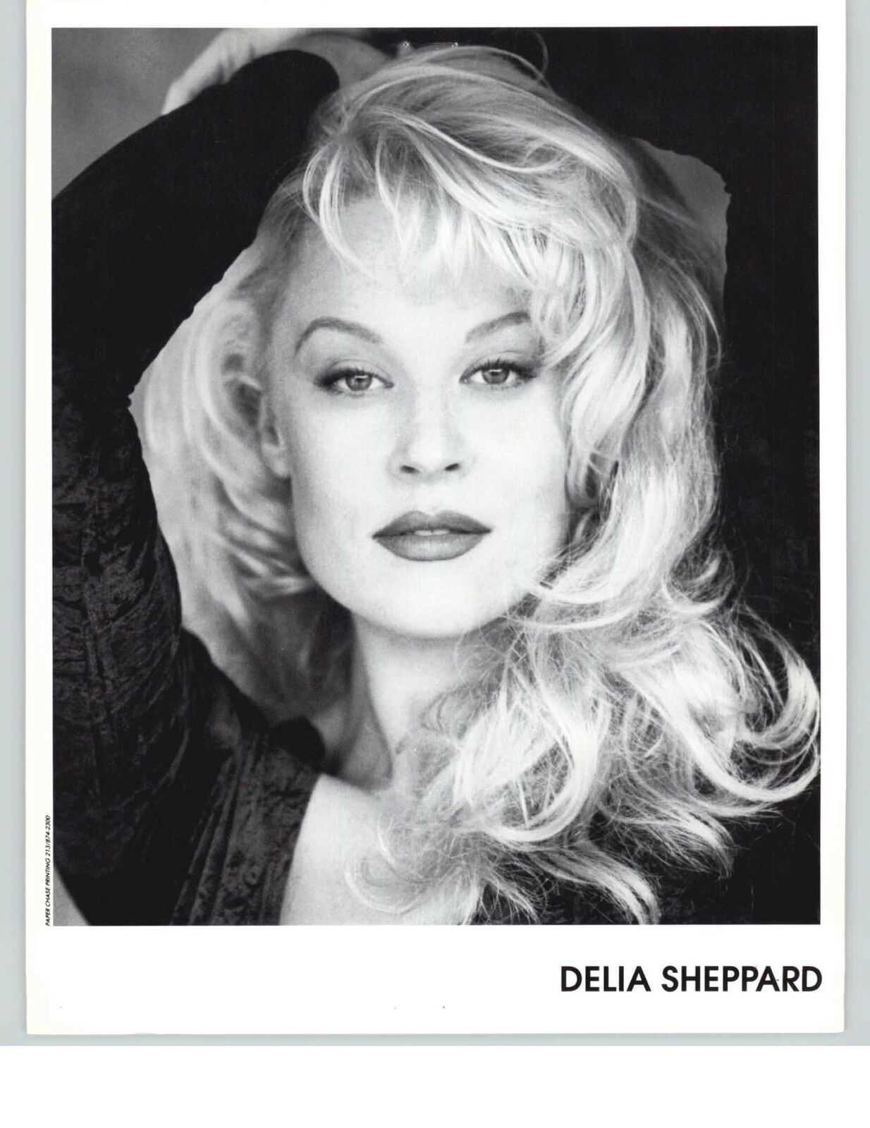 Delia Sheppard - 8x10 Headshot Photo Poster painting - Sexbomb