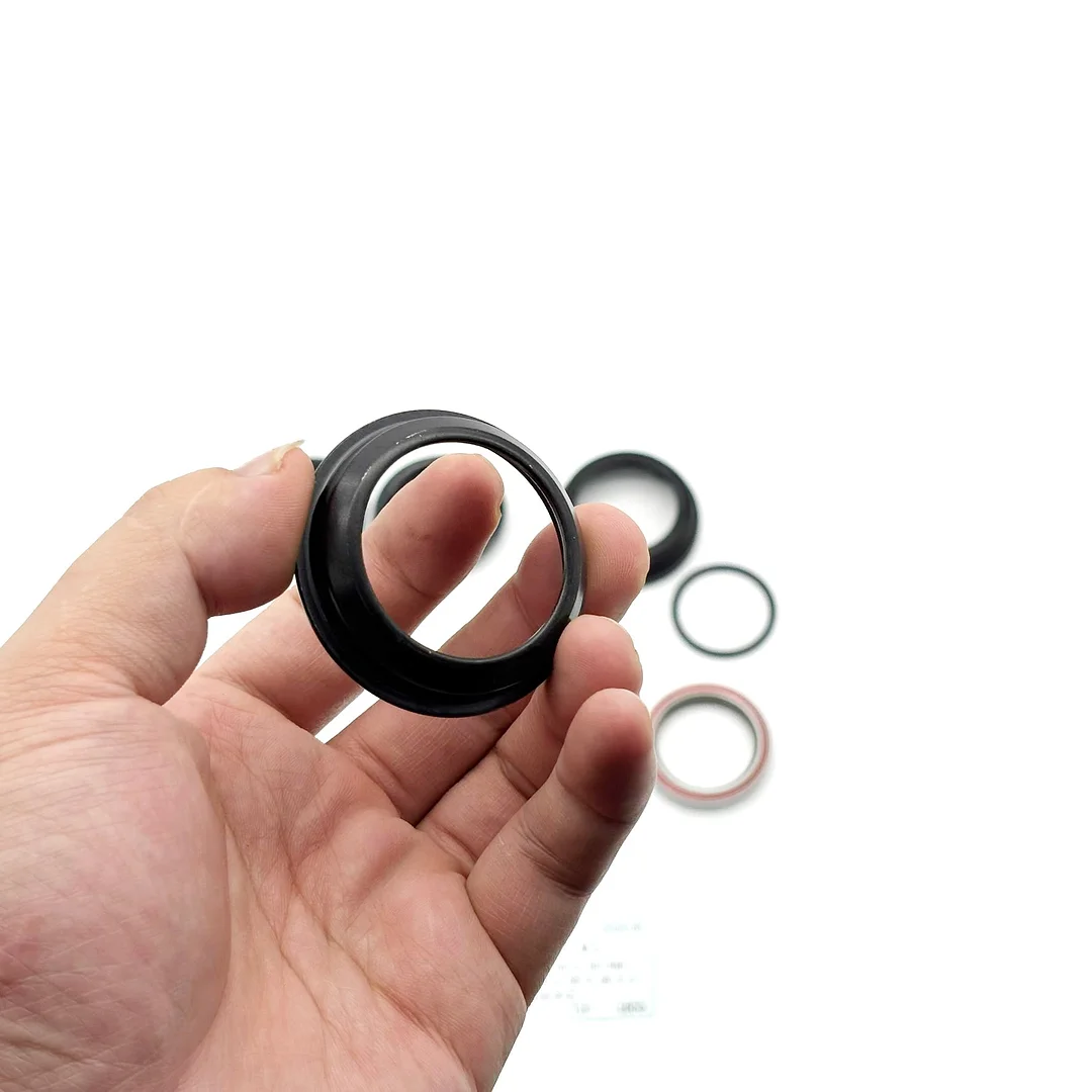 Front Fork Assembly S /T10