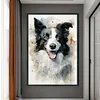 (Stamped/Counted) Border Collie-11CT Cross Stitch 40*60cm(Big Size)