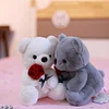 Gioiacombo™ Regalo di San Valentino Rose Teddy Bear