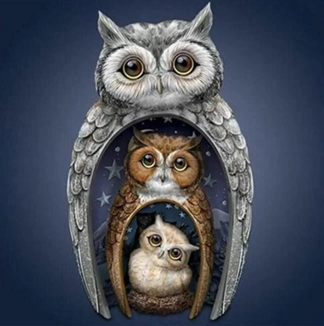 Full Round Diamond Painting - Owls(30*30cm)