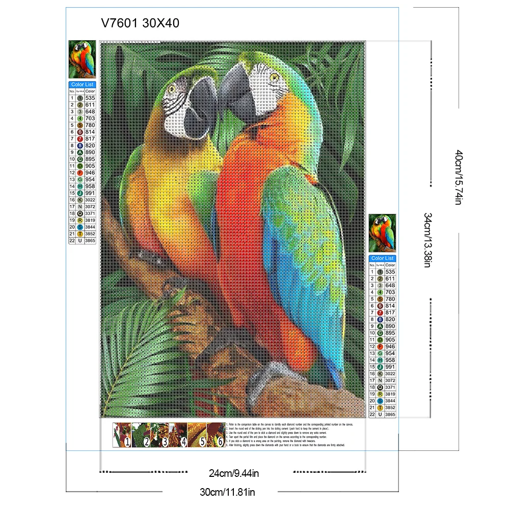 Diamond Painting - Full Round Drill - Parrot(Canvas|30*40cm)