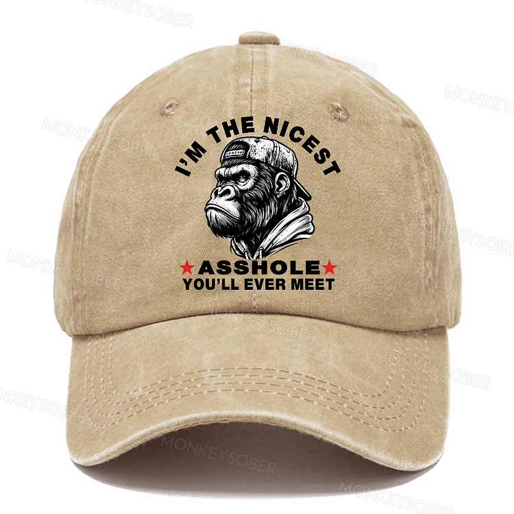I'm The Nicest Asshole You'll Ever Meet Sarcastic Washed Baseball Caps