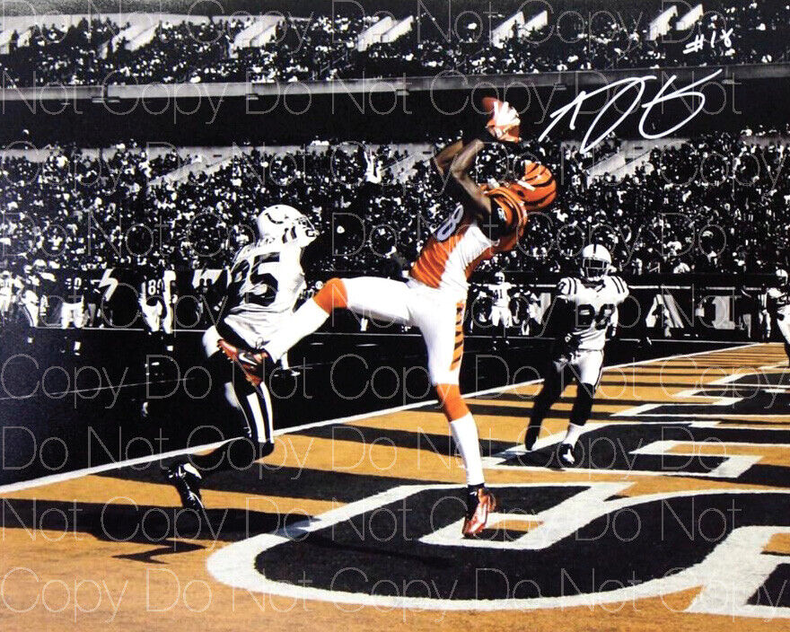 A.J. Green Bengals NFL Football signed 8X10 print Photo Poster painting poster autograph RP