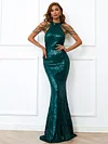 Evening Sleeveless Wrap Sequined Dress