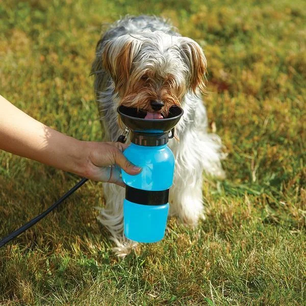 Portable Doggy Bottle