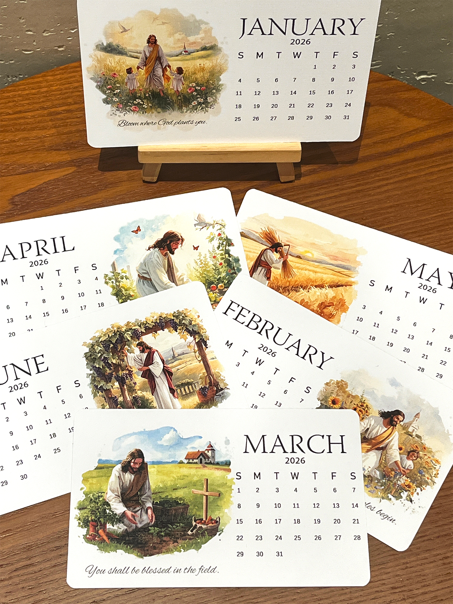✨Last Day 49% OFF ⏰ &ndash; 🌱Jesus-Inspired Plantable Seed Calendar 2026 &ndash; A Faithful Gift 🎁