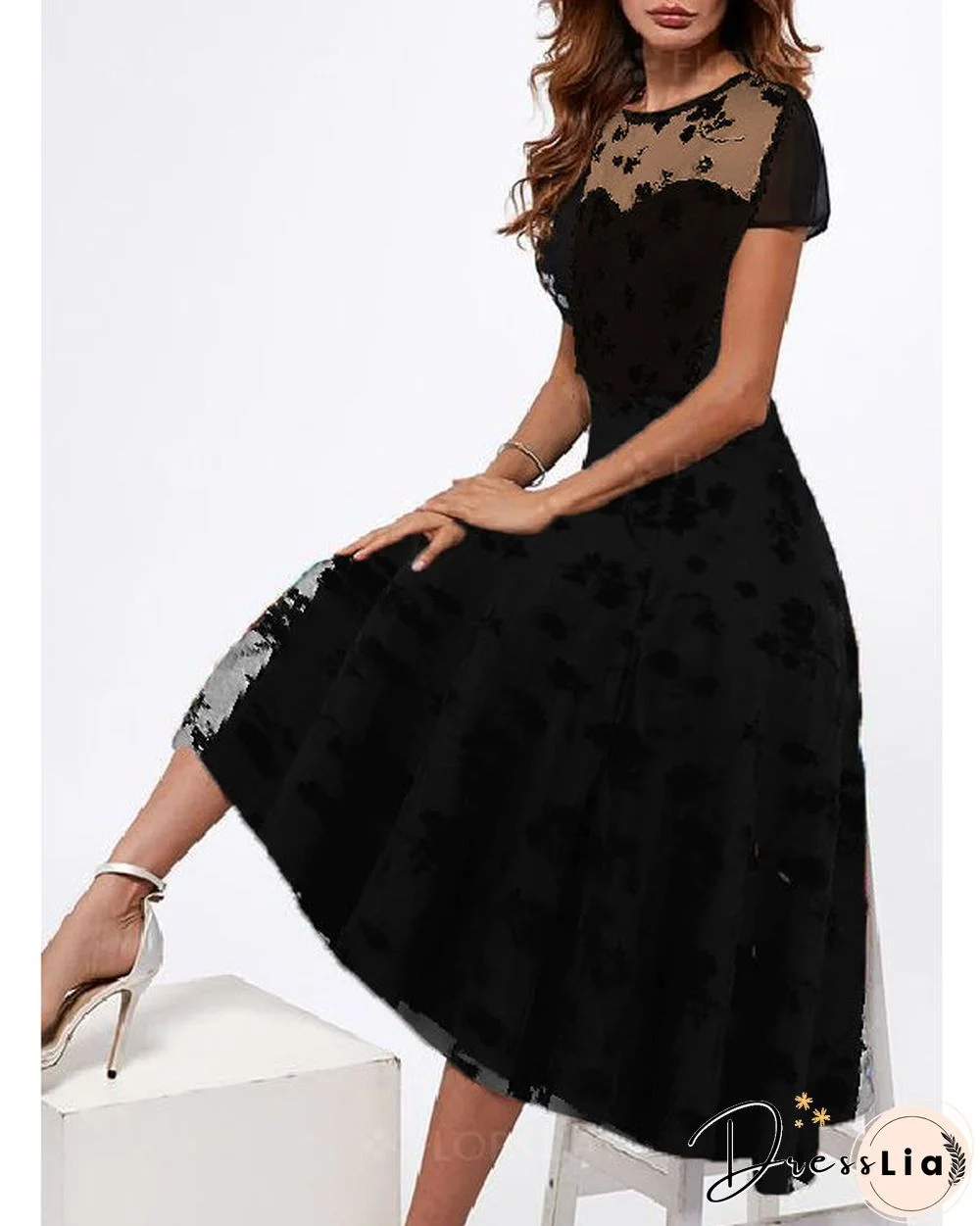 Mesh Transparent Short Sleeve Nipped Waist Vintage Dress